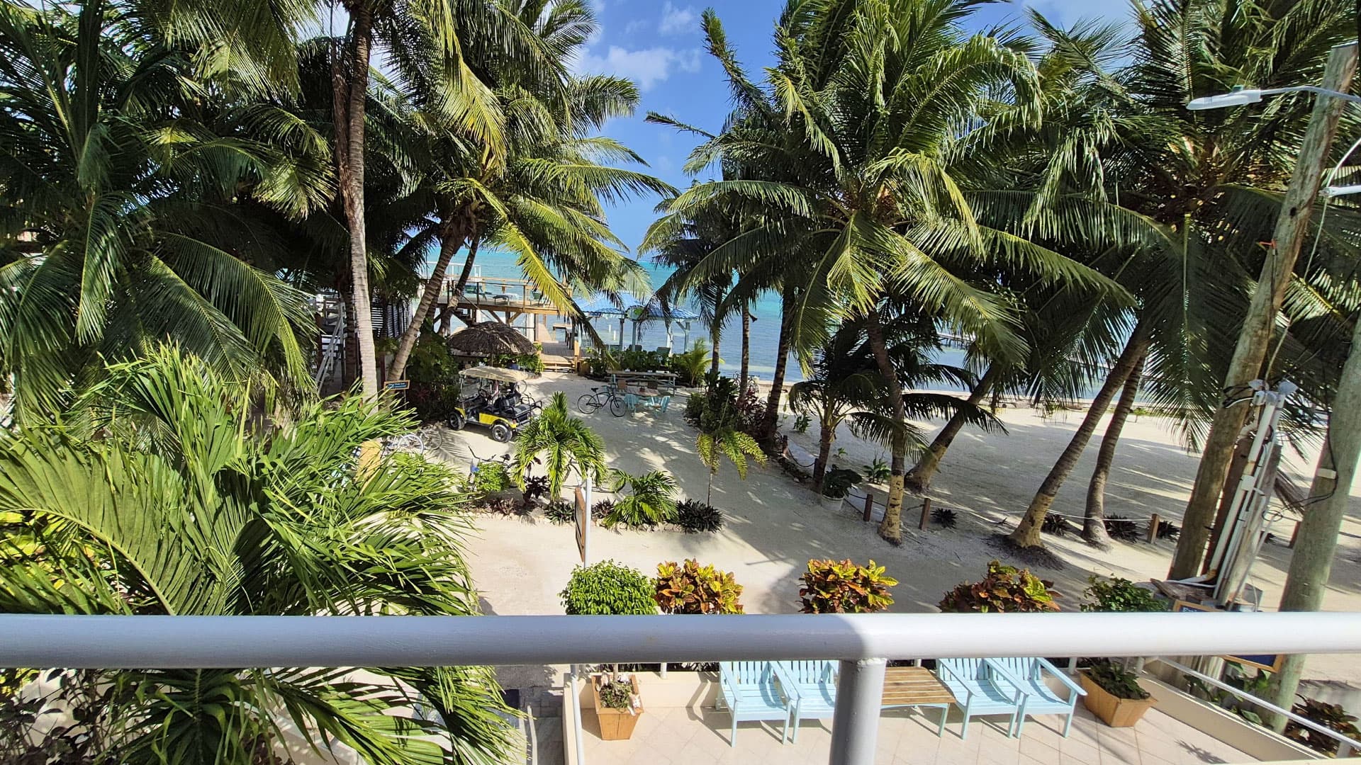 Tropical scene featuring palm trees and a beach view from a balcony.