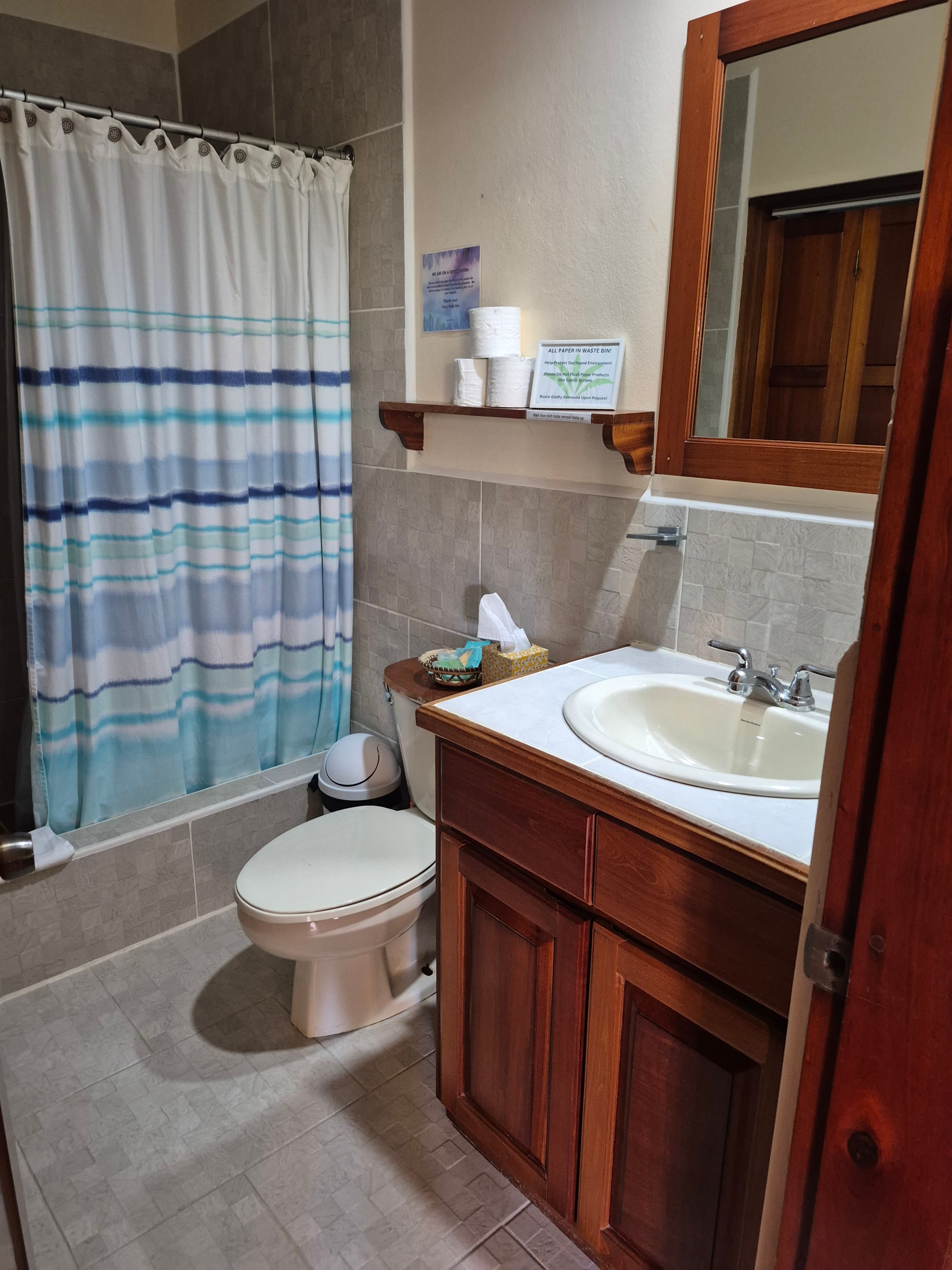 Bathroom with a toilet, sink with wooden cabinet, mirror, and a shower with a blue and white striped curtain.