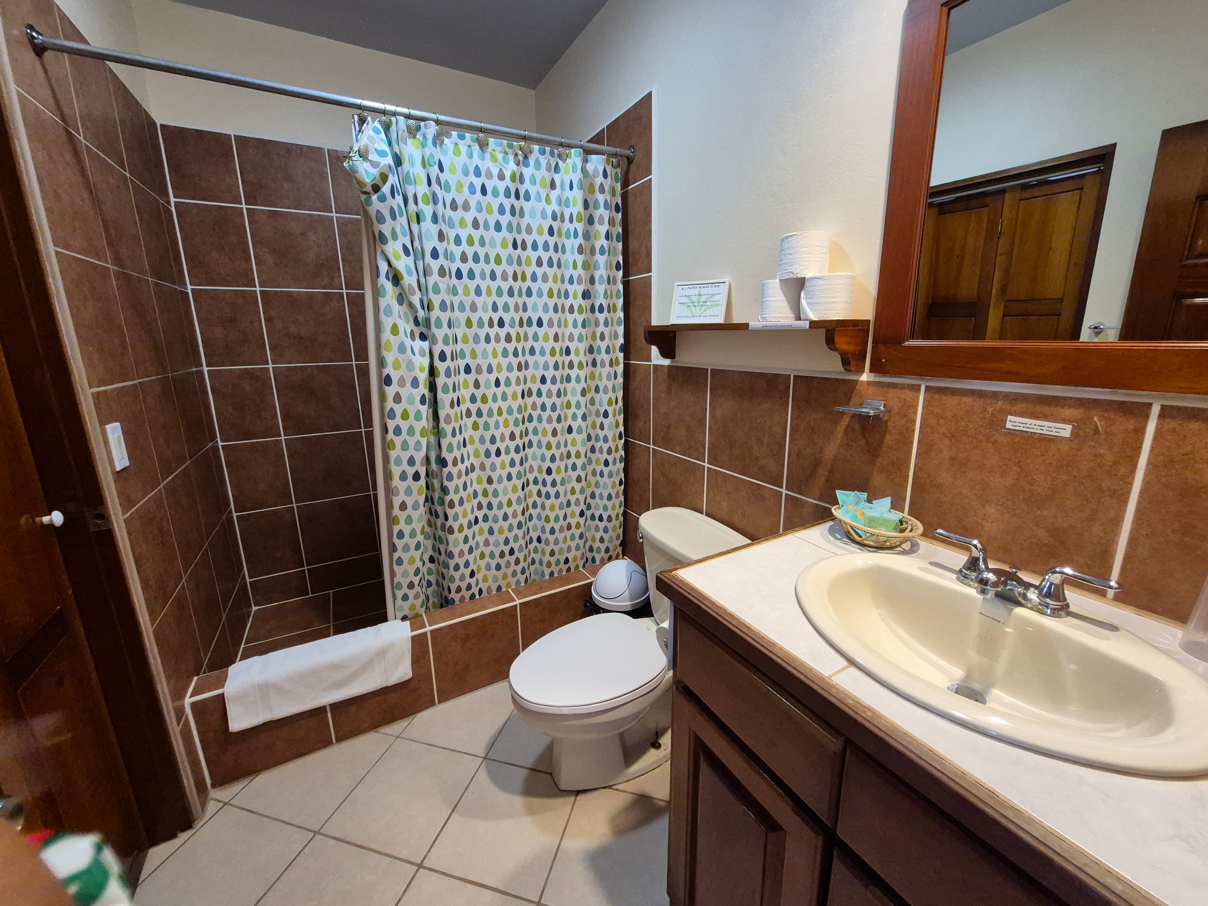 Standard bathroom with walk-in shower, toilet, and single sink with mirror