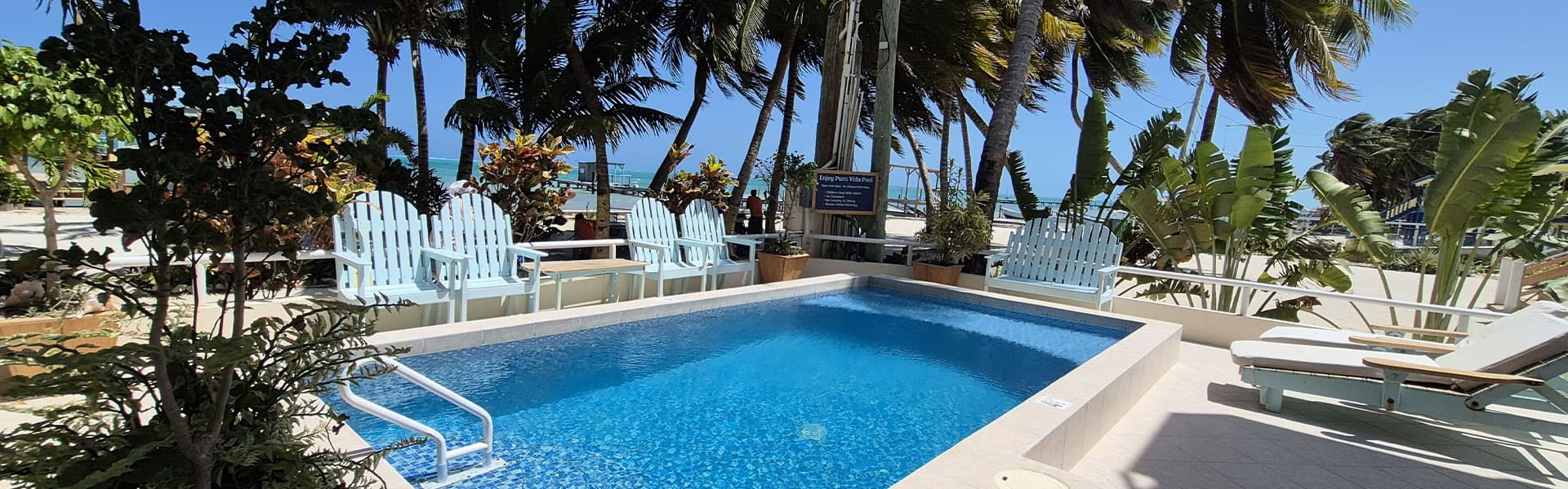 A tranquil pool area surrounded by palm trees and comfortable seating, with a beach view in the background.